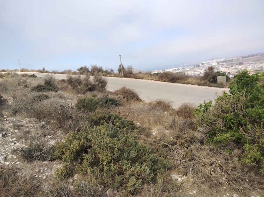 Commercial Property for Sale in Hoogland Western Cape